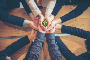 Green Business Meeting. United Partners Team with hands together Green Business Meeting. United Partners Team with hands together holding plant green trusted friends. Hands stacked Holding with sustainability partners. Trust business authentic of people.