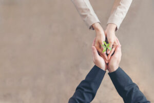 Sustainable Collaboration Green Ecology Business Company. Trust Sustainable Collaboration Green Ecology Business Company. Trust Partners Team Welcome hands holding green plant together. Hands Stacked of Partners with Green Sustainable Develop Business Concept.