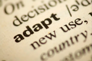 Adaptation